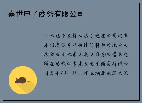 嘉世电子商务有限公司